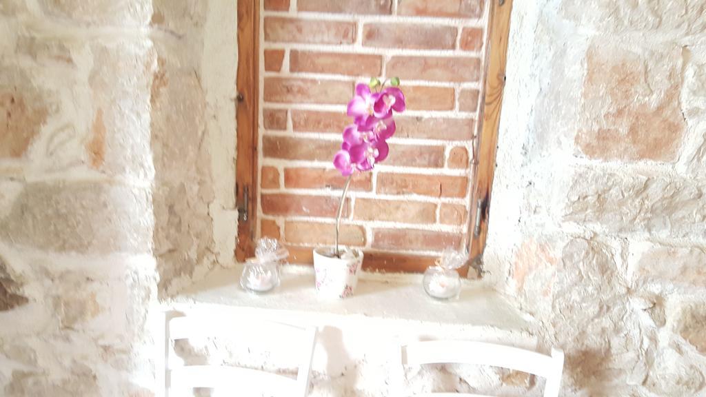 Apartment Elda Petrčane Dış mekan fotoğraf