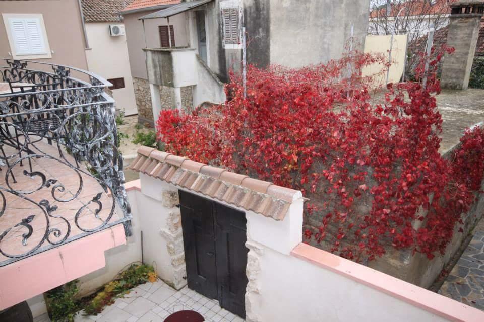 Apartment Elda Petrčane Oda fotoğraf