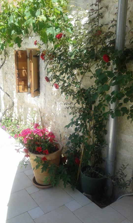 Apartment Elda Petrčane Dış mekan fotoğraf