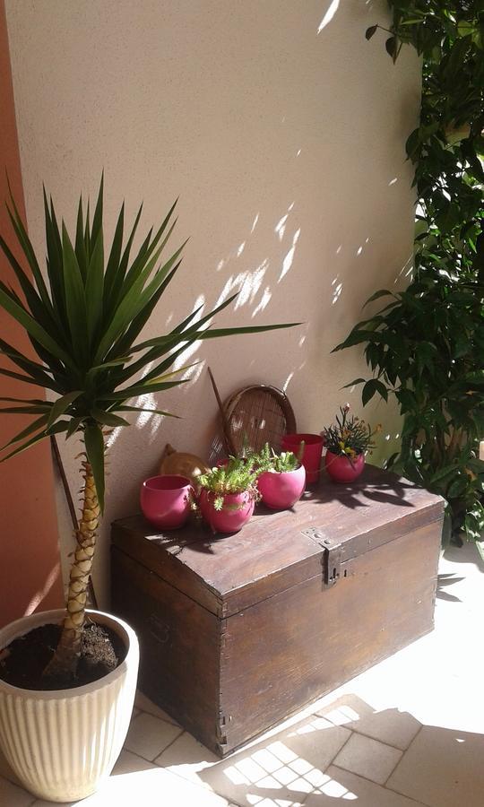 Apartment Elda Petrčane Dış mekan fotoğraf
